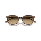 Ray Ban Sonnenbrille Elliot 0RB2197 13920A braun gestreift mit grün